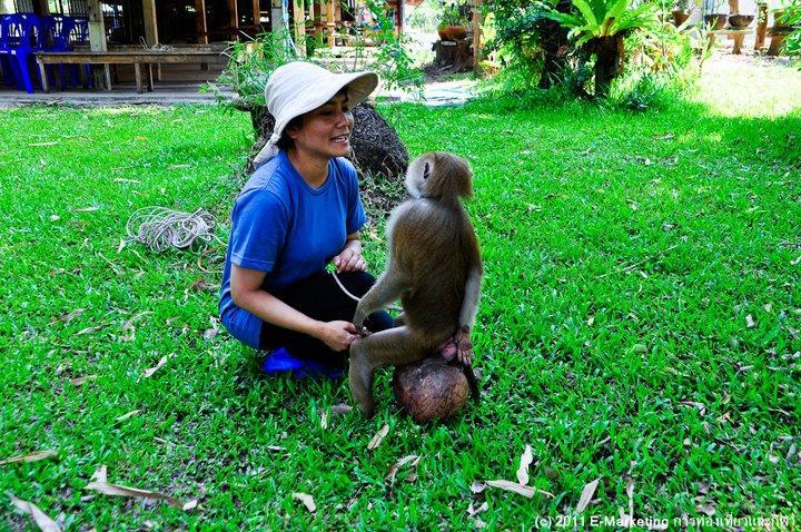 Ruean Thai Nai Bang By Pansak Resort Surat Thani Esterno foto